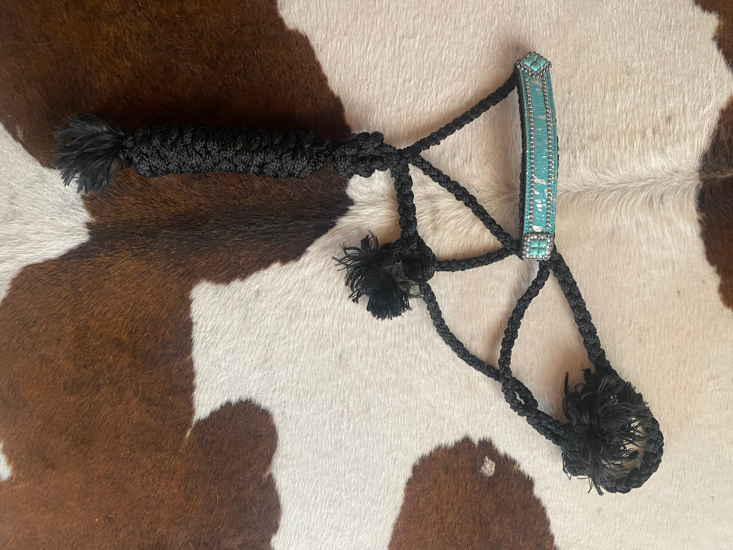 Halter and lead combo