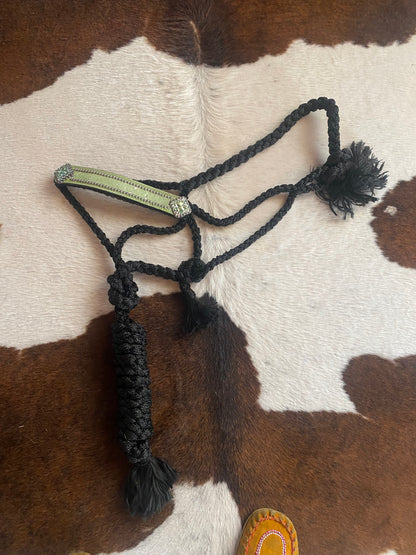 Halter lead combo