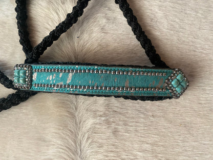 Halter and lead combo