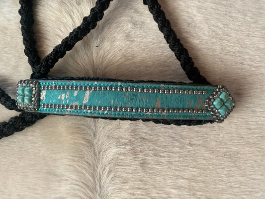 Halter and lead combo