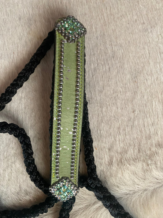 Halter lead combo